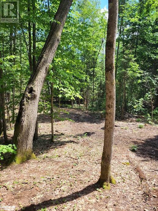 Lot 4 Fairy Falls Road, Lake Of Bays (Mclean), Ontario  P0B 1A0 - Photo 10 - X10437003