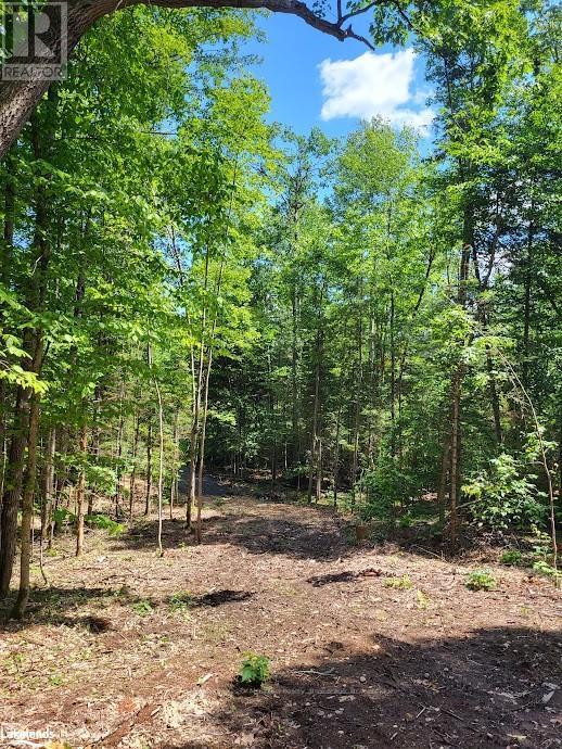 Lot 4 Fairy Falls Road, Lake Of Bays (Mclean), Ontario  P0B 1A0 - Photo 11 - X10437003