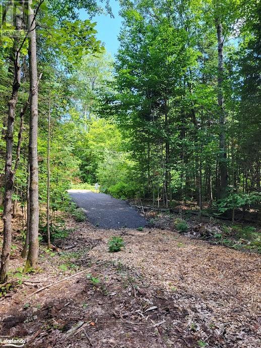 Lot 4 Fairy Falls Road, Lake Of Bays (Mclean), Ontario  P0B 1A0 - Photo 12 - X10437003