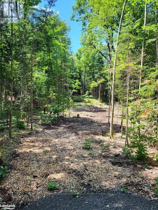 Lot 4 Fairy Falls Road, Lake Of Bays (Mclean), Ontario  P0B 1A0 - Photo 2 - X10437003