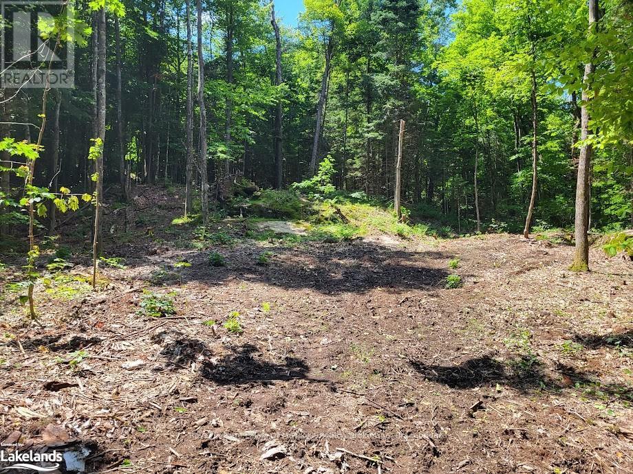 Lot 4 Fairy Falls Road, Lake Of Bays (Mclean), Ontario  P0B 1A0 - Photo 5 - X10437003