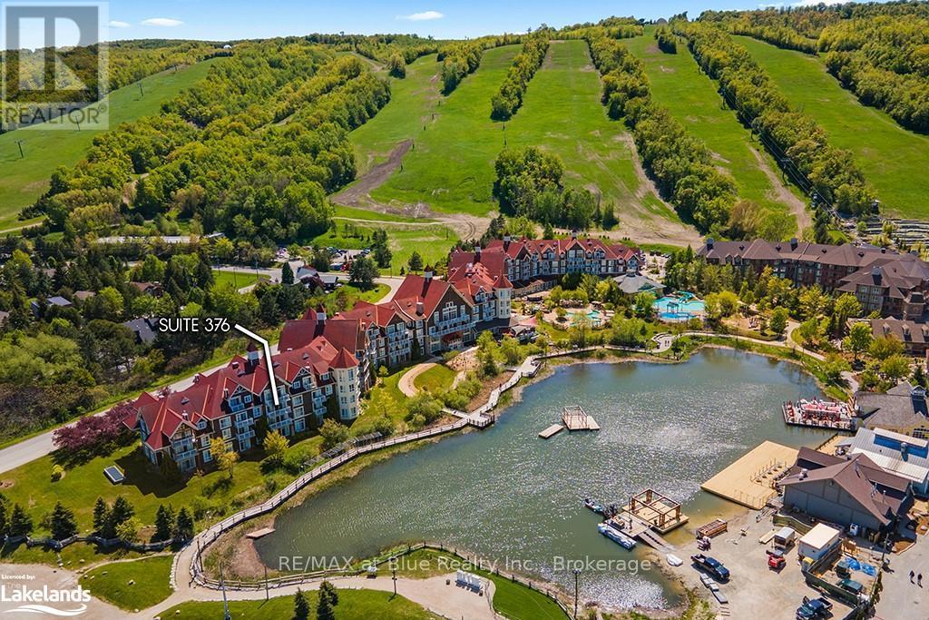 376 - 220 Gord Canning Drive, Blue Mountains, Ontario  L9Y 0V2 - Photo 4 - X10435497