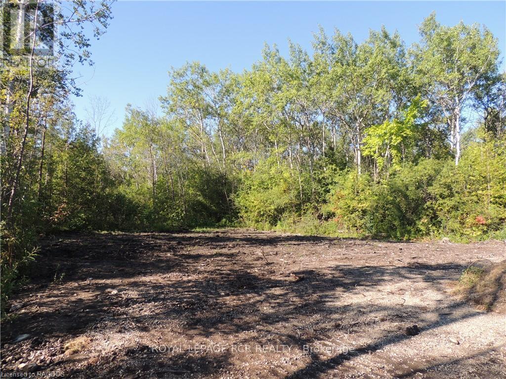 9313 Beachwood Road, Collingwood, Ontario  L9Y 3Z1 - Photo 2 - S10847918