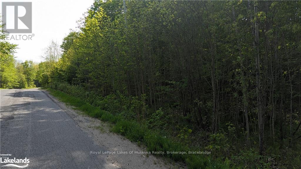 3 Northshore Road, Muskoka Lakes, Ontario  P0B 1M0 - Photo 7 - X10437308