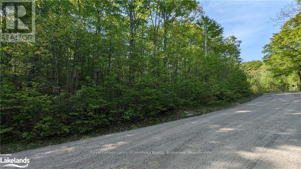 4 Northshore Road, Muskoka Lakes, Ontario  P0B 1M0 - Photo 3 - X10437323