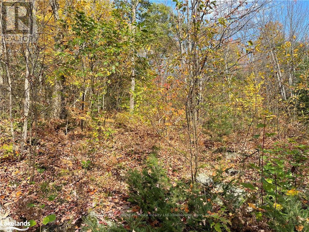 0 Chrysler Road, Bracebridge, Ontario  P1L 1X1 - Photo 1 - X10435200