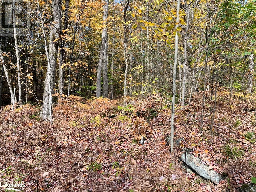 0 Chrysler Road, Bracebridge, Ontario  P1L 1X1 - Photo 4 - X10435200