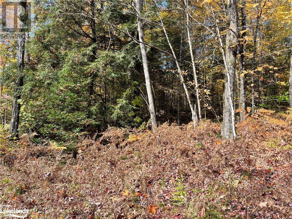 0 Chrysler Road, Bracebridge, Ontario  P1L 1X1 - Photo 5 - X10435200