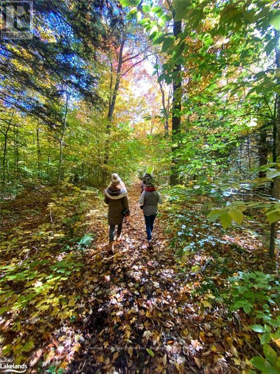 1374 Purbrook Road, Bracebridge, Ontario  P1L 1X3 - Photo 5 - X10437232