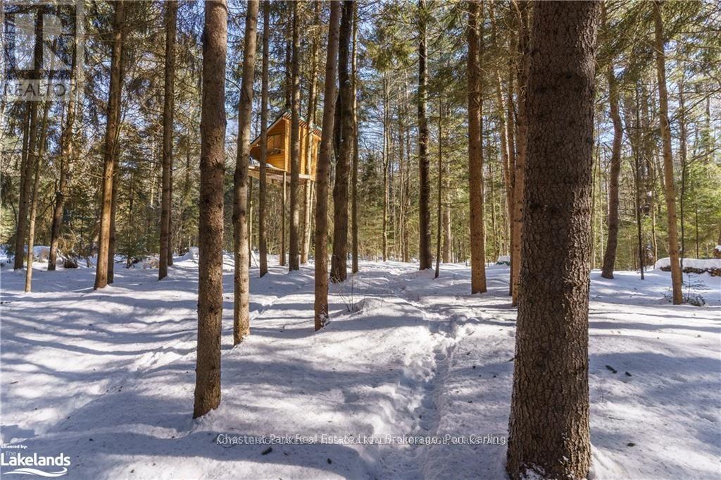 1374 Purbrook Road, Bracebridge, Ontario  P1L 1X3 - Photo 6 - X10437232
