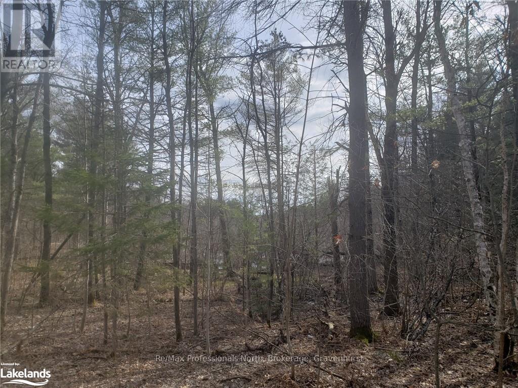 1185 Sam Cook Road, Gravenhurst, Ontario  P1P 1R3 - Photo 11 - X10437483