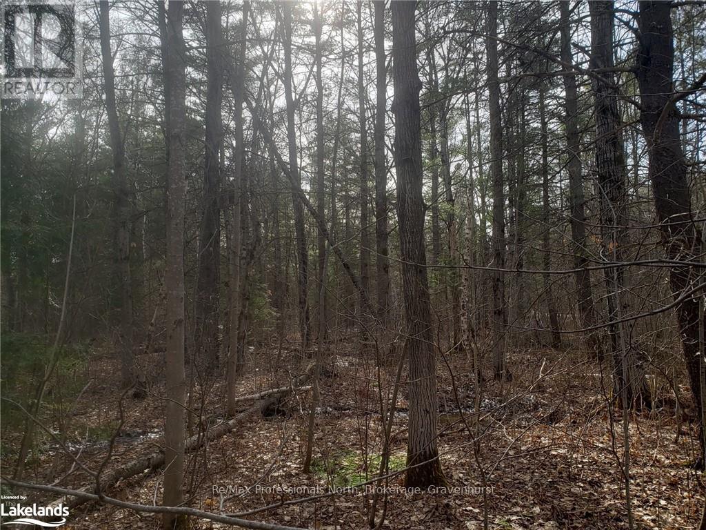 1185 Sam Cook Road, Gravenhurst, Ontario  P1P 1R3 - Photo 12 - X10437483