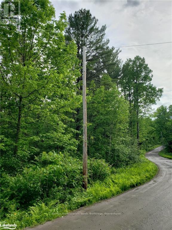 1185 Sam Cook Road, Gravenhurst, Ontario  P1P 1R3 - Photo 2 - X10437483