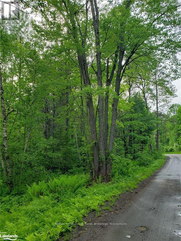 1185 Sam Cook Road, Gravenhurst, Ontario  P1P 1R3 - Photo 3 - X10437483