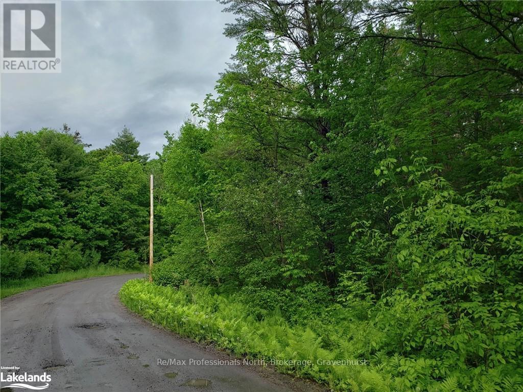 1185 Sam Cook Road, Gravenhurst, Ontario  P1P 1R3 - Photo 4 - X10437483