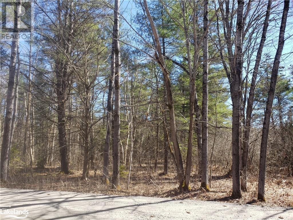 1185 Sam Cook Road, Gravenhurst, Ontario  P1P 1R3 - Photo 6 - X10437483