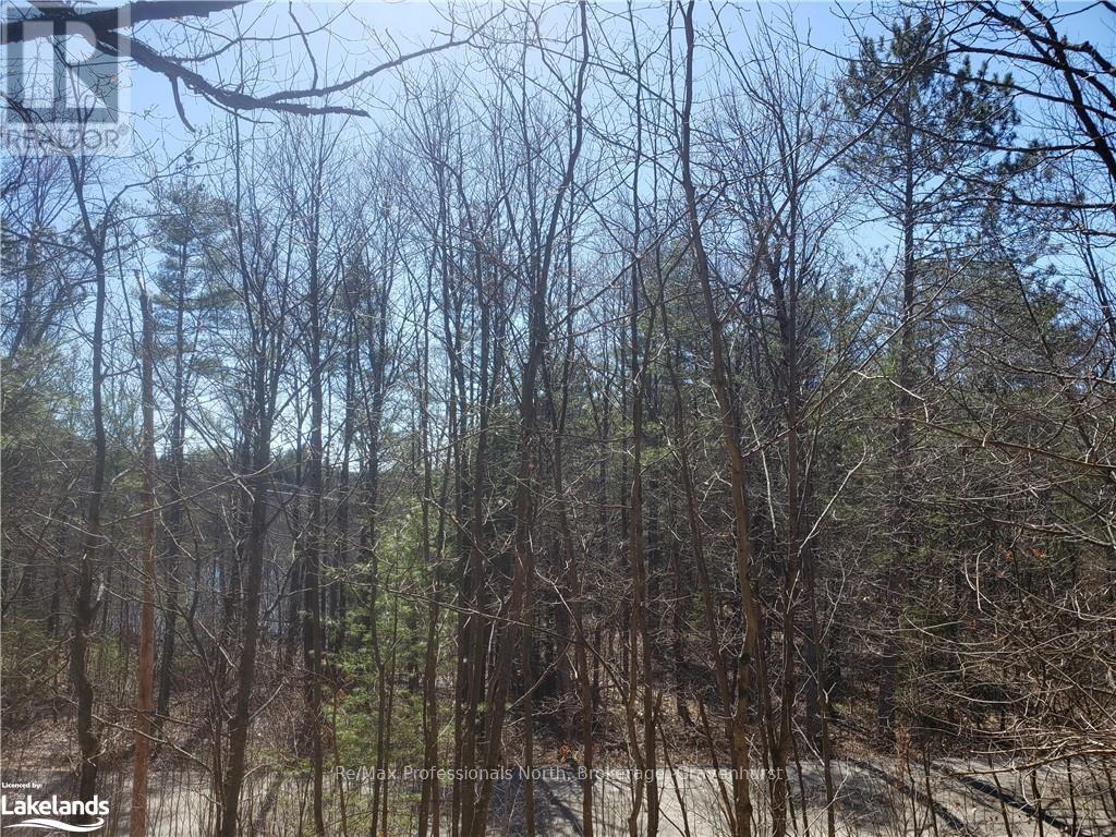 1185 Sam Cook Road, Gravenhurst, Ontario  P1P 1R3 - Photo 8 - X10437483