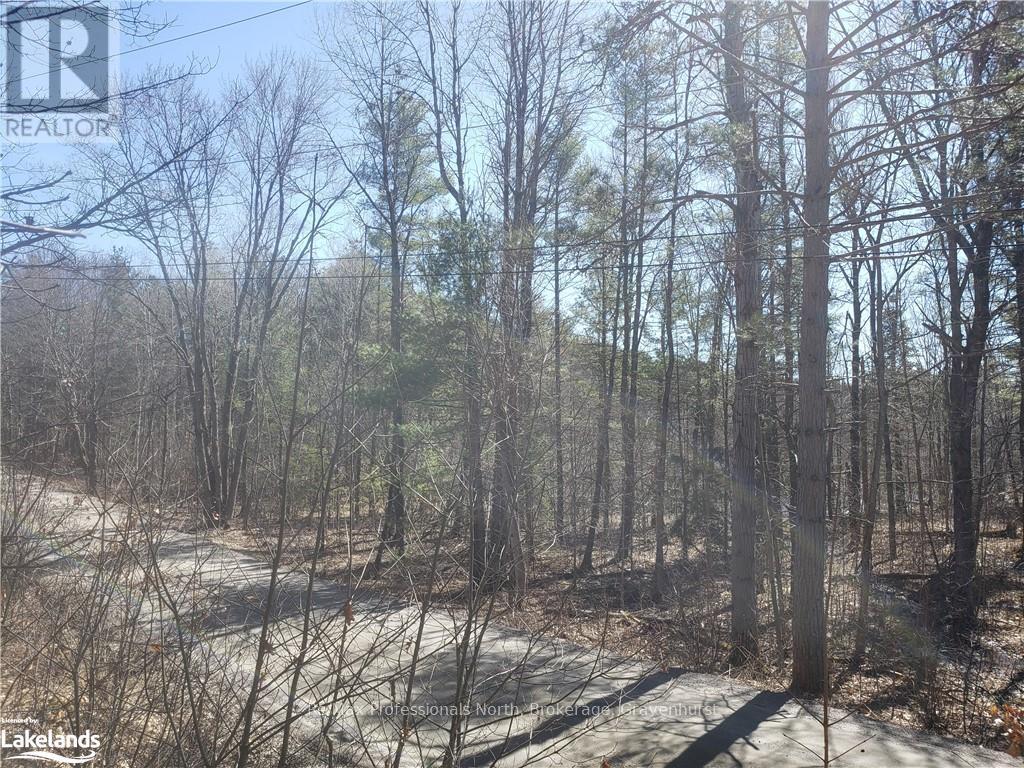 1185 Sam Cook Road, Gravenhurst, Ontario  P1P 1R3 - Photo 9 - X10437483
