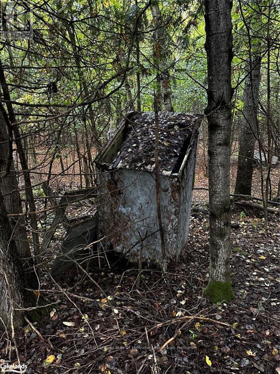 Lot 67 Chelsea Lane, Algonquin Highlands, Ontario  K0M 1S0 - Photo 11 - X10434730