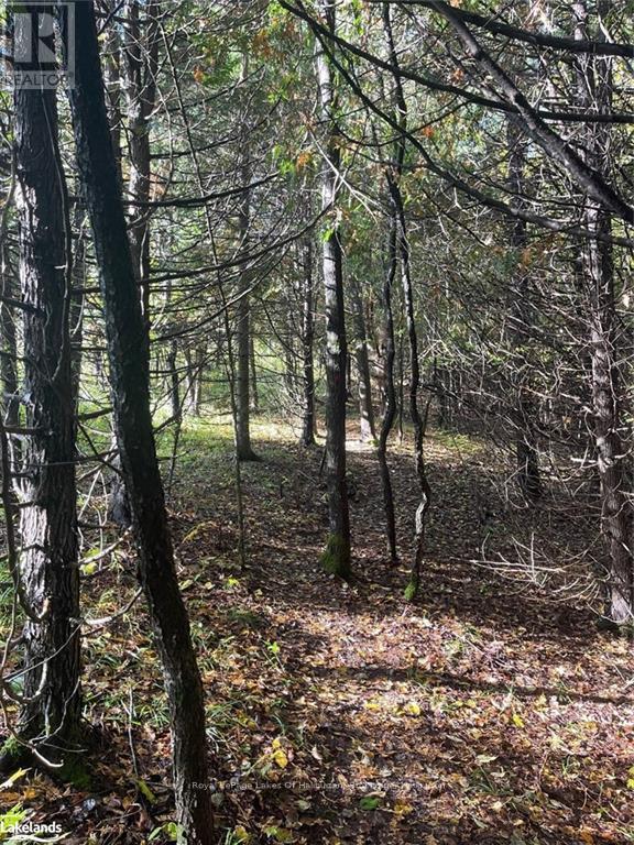 Lot 67 Chelsea Lane, Algonquin Highlands, Ontario  K0M 1S0 - Photo 14 - X10434730