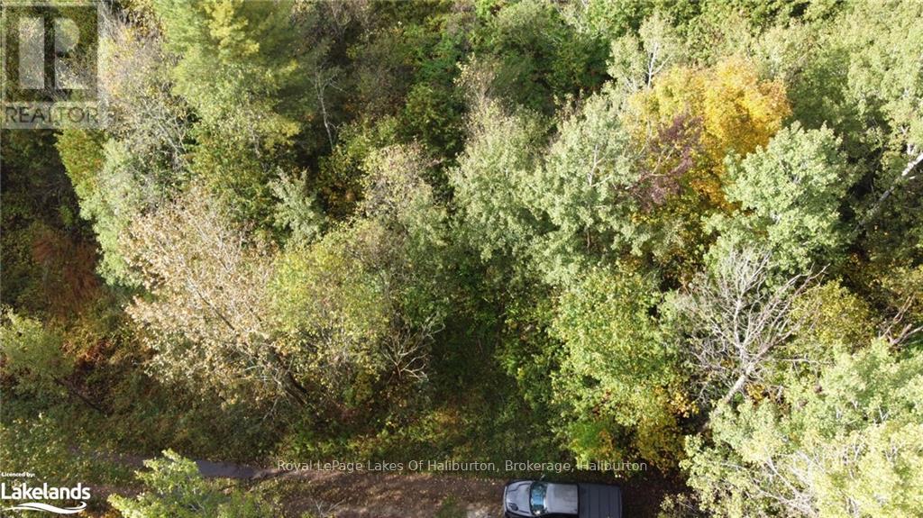 Lot 67 Chelsea Lane, Algonquin Highlands, Ontario  K0M 1S0 - Photo 17 - X10434730