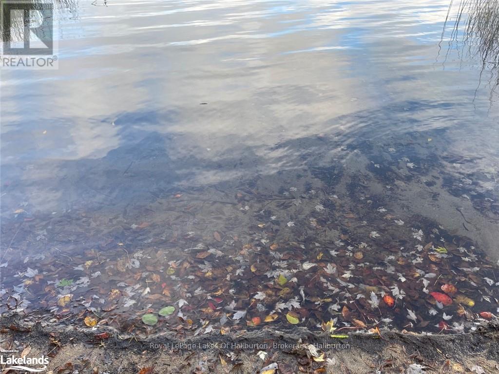 Lot 67 Chelsea Lane, Algonquin Highlands, Ontario  K0M 1S0 - Photo 19 - X10434730