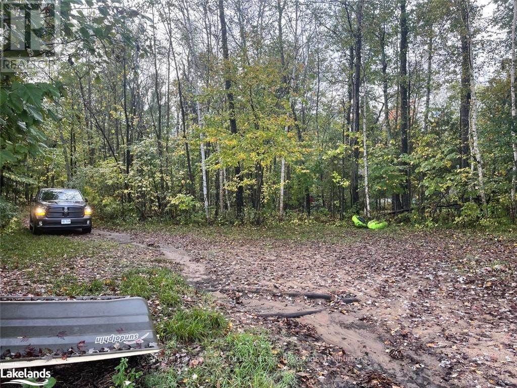 Lot 67 Chelsea Lane, Algonquin Highlands, Ontario  K0M 1S0 - Photo 20 - X10434730