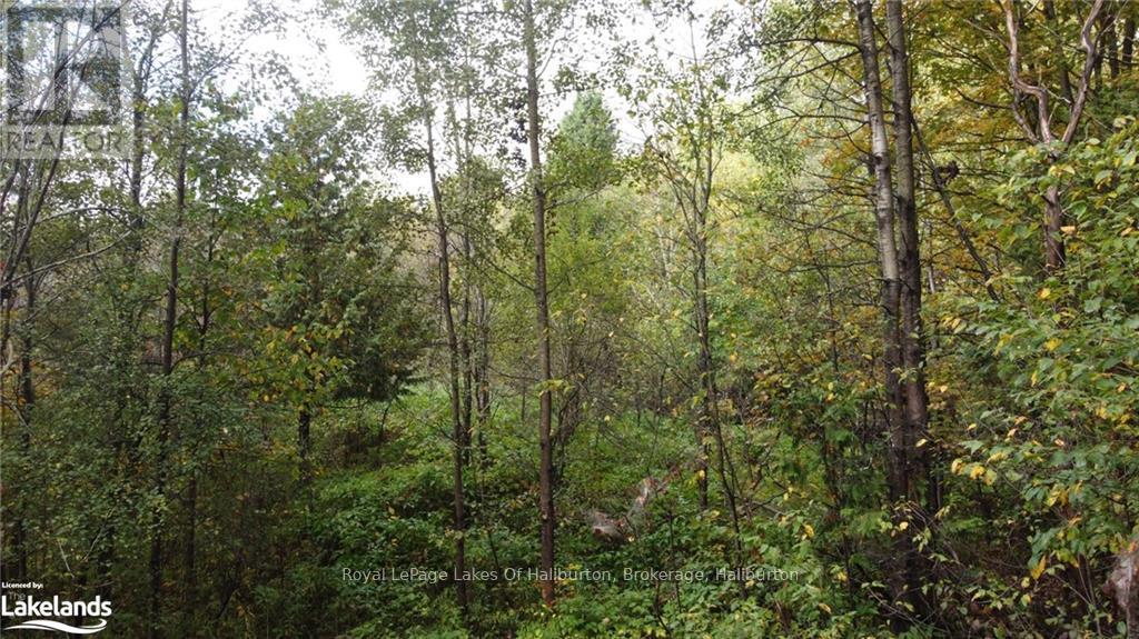 Lot 67 Chelsea Lane, Algonquin Highlands, Ontario  K0M 1S0 - Photo 3 - X10434730