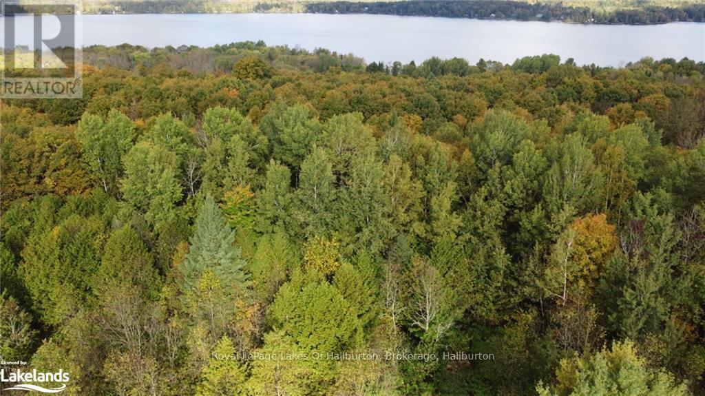 Lot 67 Chelsea Lane, Algonquin Highlands, Ontario  K0M 1S0 - Photo 6 - X10434730