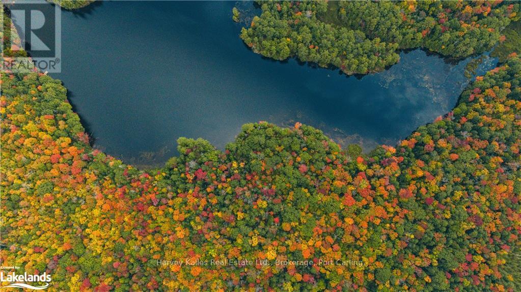 0 Windermere Road, Muskoka Lakes (Watt), Ontario  P0B 1M0 - Photo 11 - X10437804