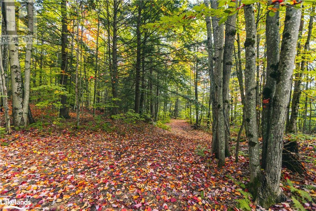 0 Windermere Road, Muskoka Lakes (Watt), Ontario  P0B 1M0 - Photo 16 - X10437804