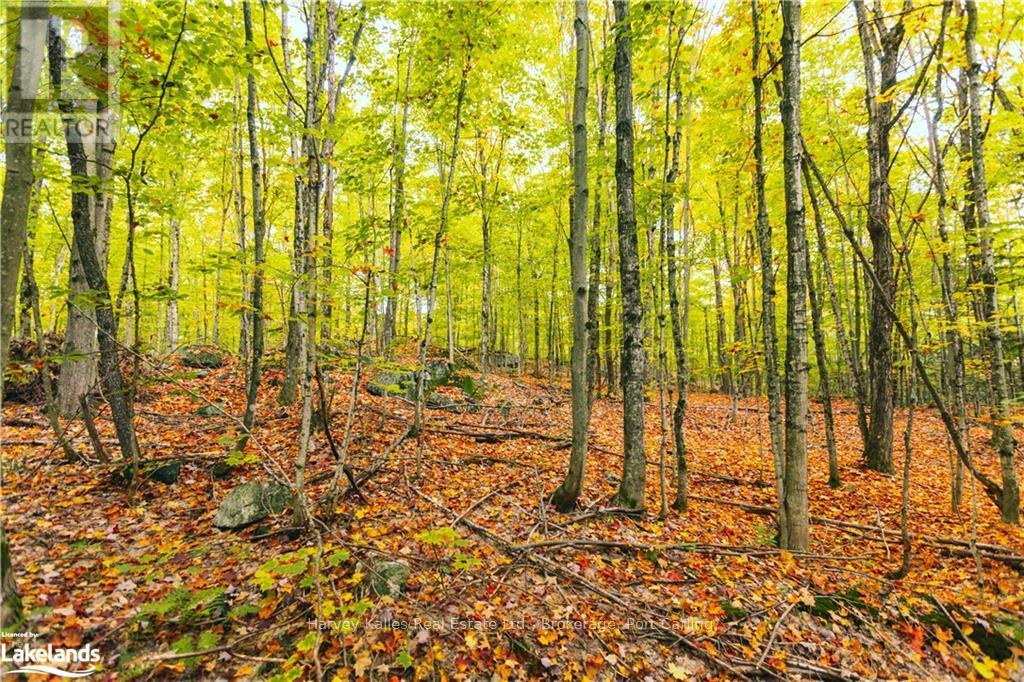 0 Windermere Road, Muskoka Lakes, Ontario  P0B 1M0 - Photo 17 - X10437804