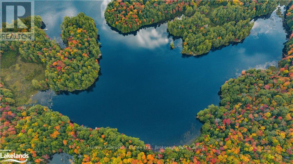 0 Windermere Road, Muskoka Lakes (Watt), Ontario  P0B 1M0 - Photo 5 - X10437804