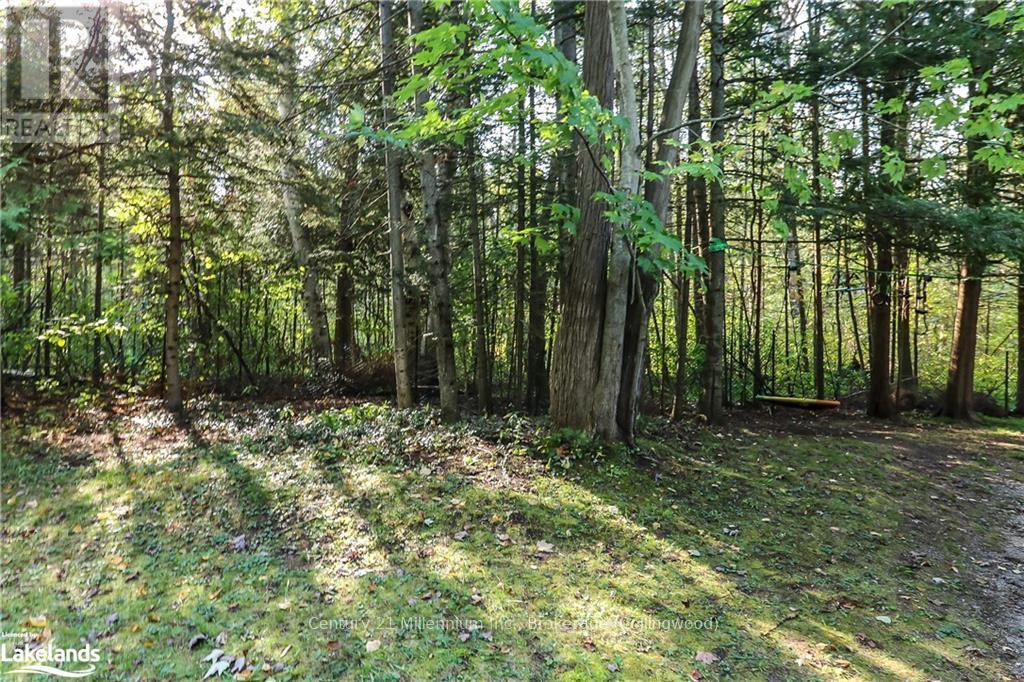 178 Brophy's Lane, Blue Mountains, Ontario  L9Y 0K3 - Photo 29 - X10437896