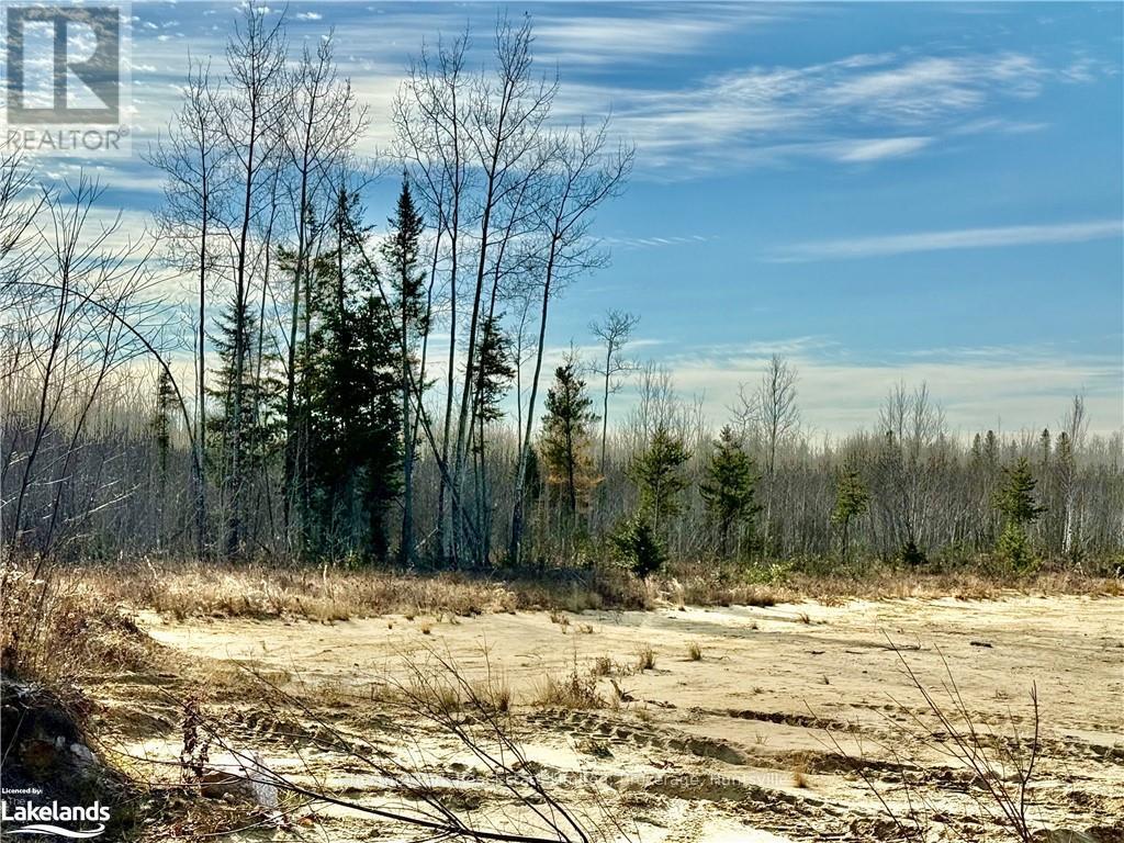 0 Stoney Lonesome Road, Timiskaming Remote Area, Ontario  P0B 1B0 - Photo 18 - T10436955