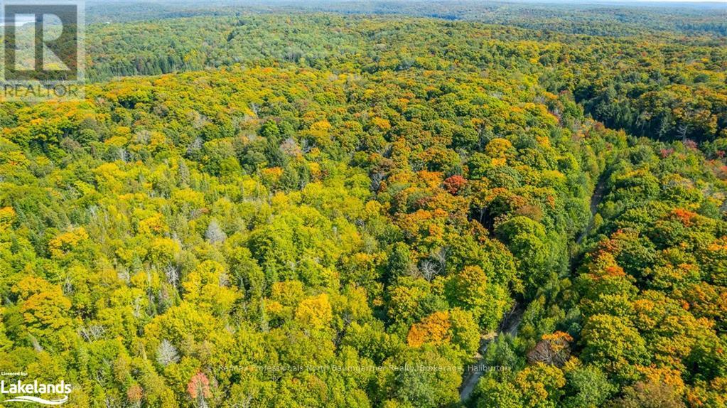 Lot 49 Basshaunt Lake Road, Dysart Et Al, Ontario  K0M 1M0 - Photo 11 - X10437016