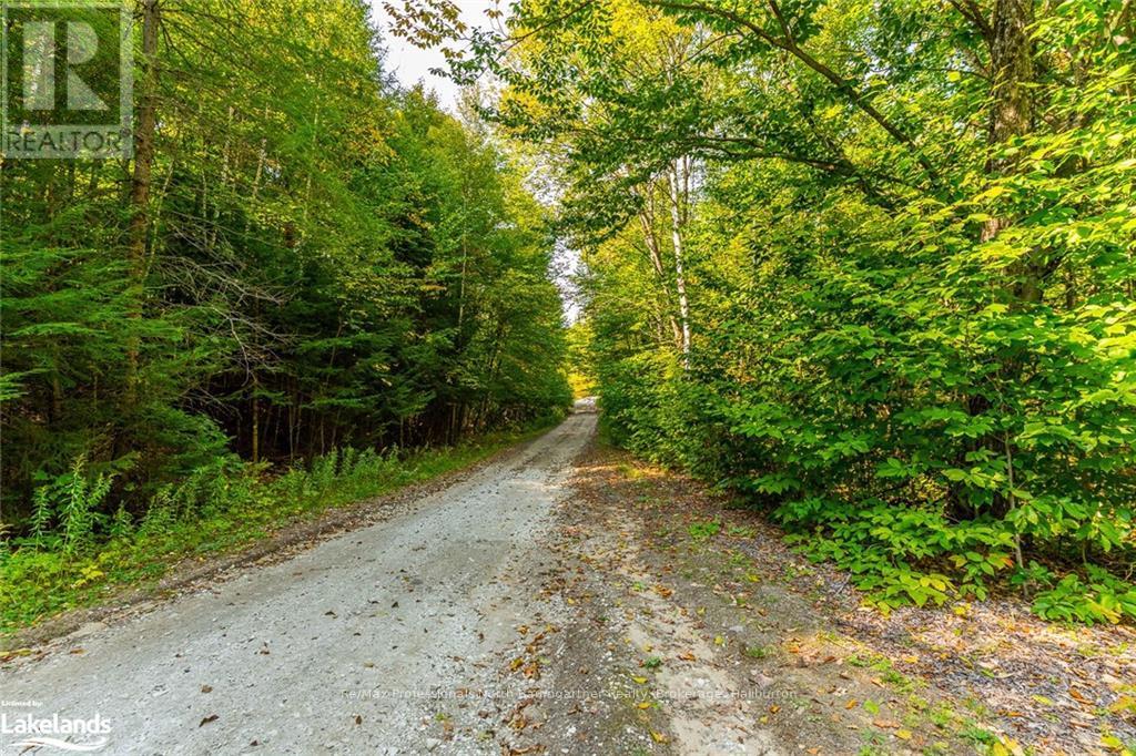 Lot 49 Basshaunt Lake Road, Dysart Et Al, Ontario  K0M 1M0 - Photo 3 - X10437016