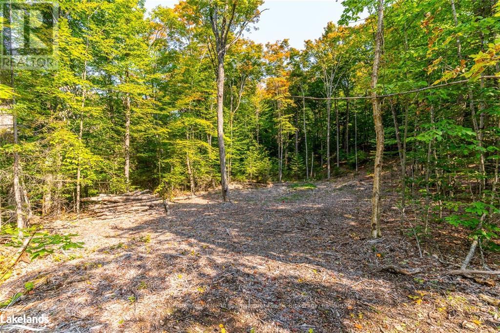 Lot 49 Basshaunt Lake Road, Dysart Et Al, Ontario  K0M 1M0 - Photo 6 - X10437016