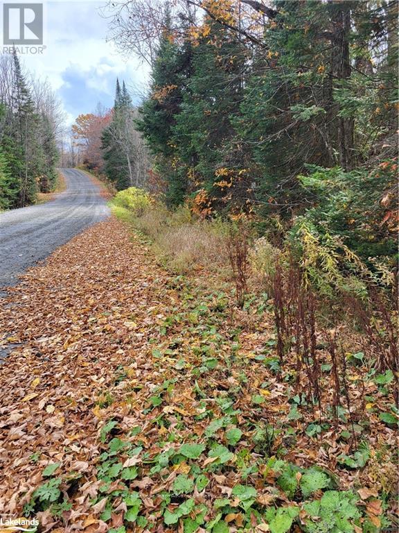 0 Haines Lake Road, Mcdougall, Ontario  P2A 0B3 - Photo 6 - X10438057