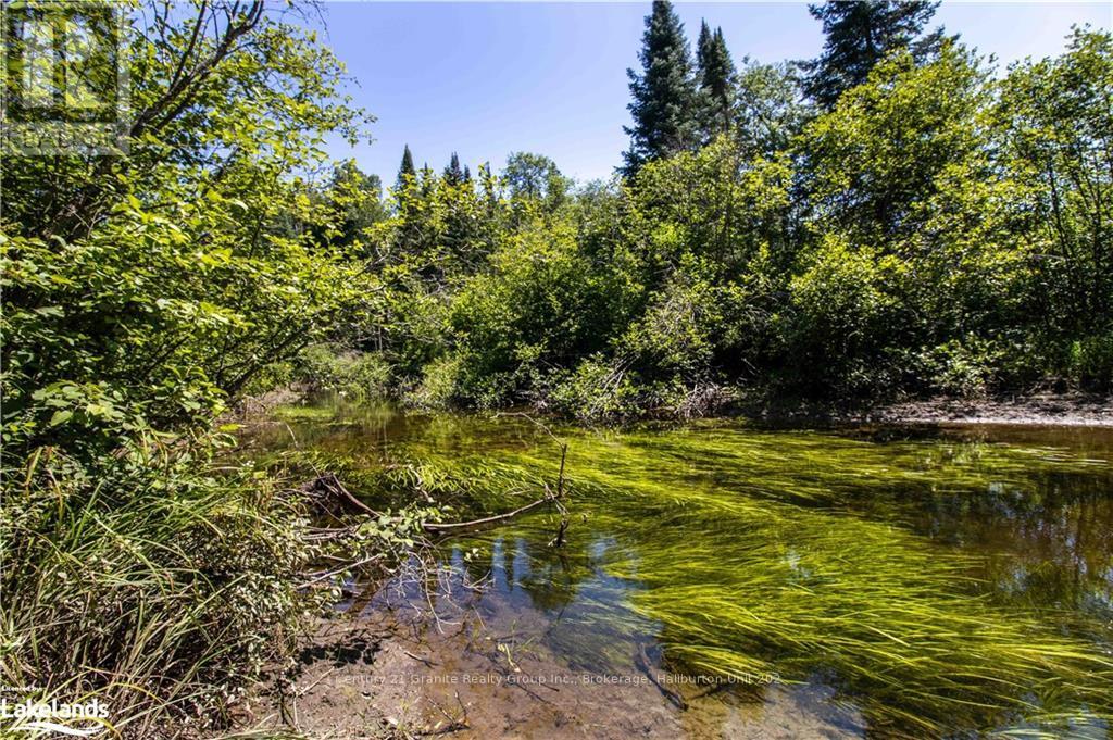 1448 Binscarth Trail, Dysart Et Al, Ontario  K0M 1S0 - Photo 16 - X10438079