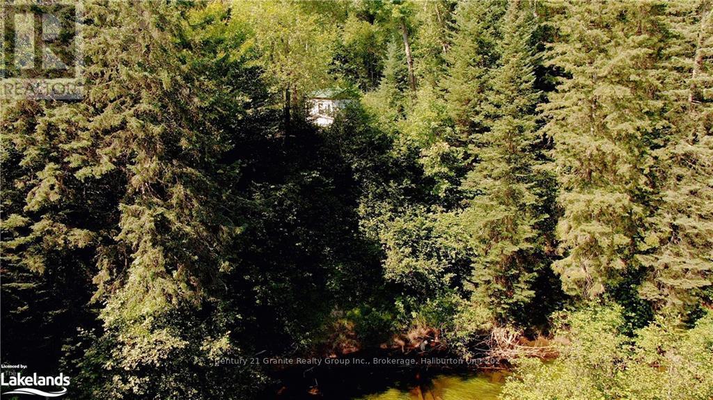 1448 Binscarth Trail, Dysart Et Al, Ontario  K0M 1S0 - Photo 17 - X10438079