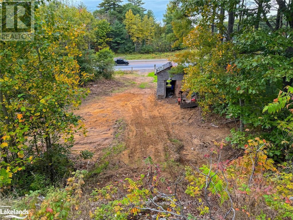 1994 Hwy 11 N, Gravenhurst, Ontario  P1P 1R1 - Photo 16 - X10435707