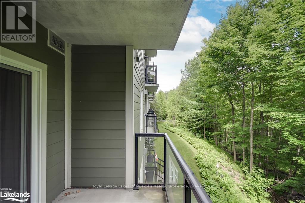 207 - 391 James Street W, Gravenhurst, Ontario  P1P 0A5 - Photo 10 - X10438233