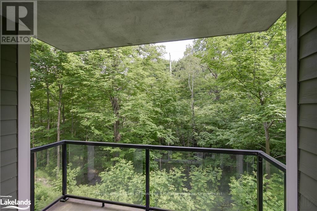 207 - 391 James Street W, Gravenhurst, Ontario  P1P 0A5 - Photo 11 - X10438233