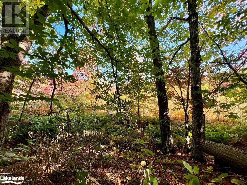 0 Acton Island Road, Muskoka Lakes, Ontario  P0B 1J0 - Photo 10 - X10438239