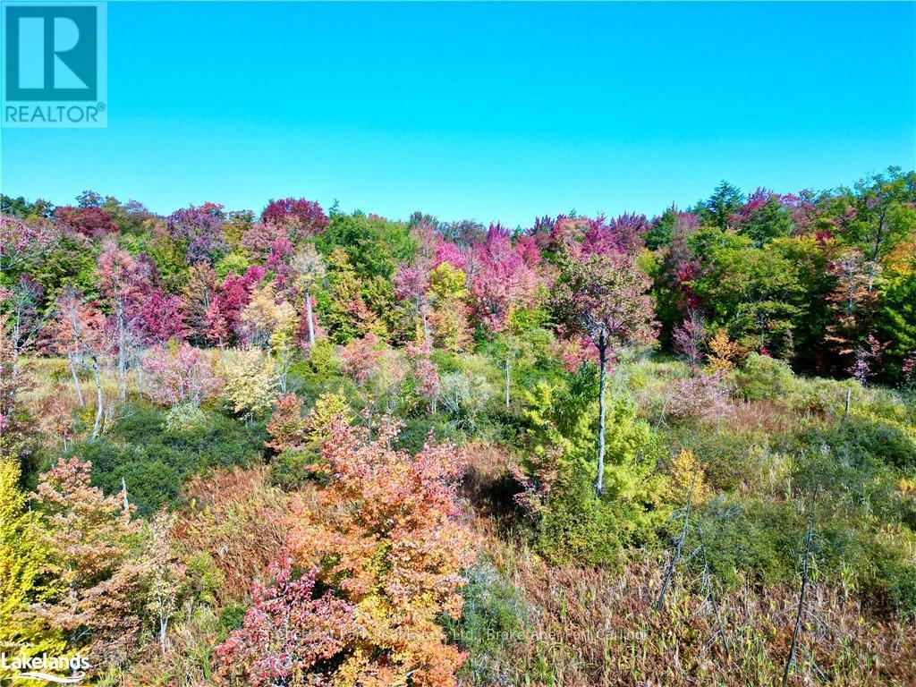 0 Acton Island Road, Muskoka Lakes, Ontario  P0B 1J0 - Photo 11 - X10438239