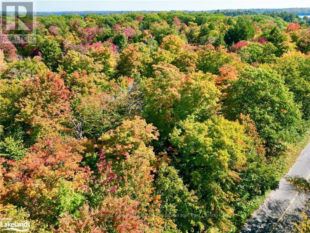 0 Acton Island Road, Muskoka Lakes, Ontario  P0B 1J0 - Photo 14 - X10438239
