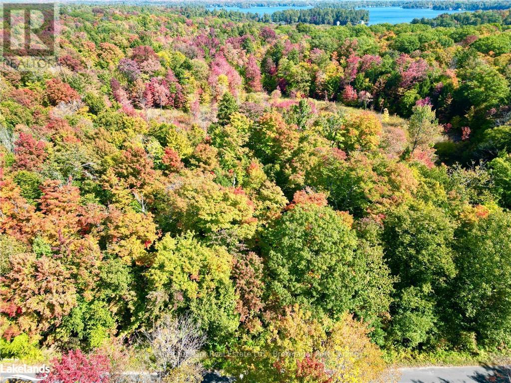 0 Acton Island Road, Muskoka Lakes, Ontario  P0B 1J0 - Photo 15 - X10438239