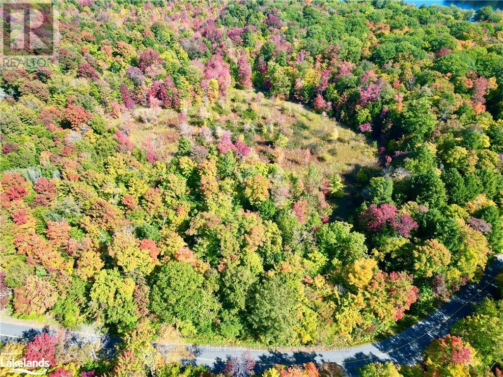 0 Acton Island Road, Muskoka Lakes, Ontario  P0B 1J0 - Photo 2 - X10438239