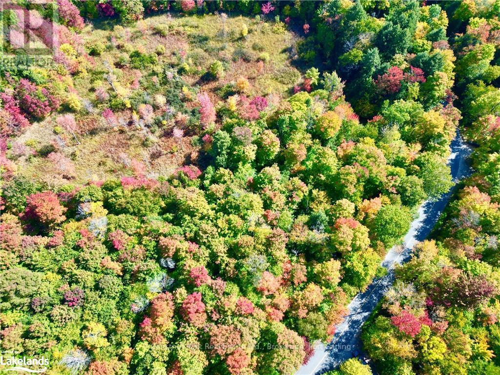 0 Acton Island Road, Muskoka Lakes, Ontario  P0B 1J0 - Photo 3 - X10438239